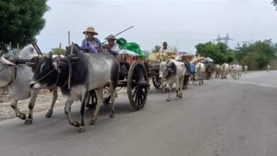 စစ်ကိုင်းတိုင်းတစ်နေရာက စစ်ဘေးရှောင်များ (ပုံဟောင်း)