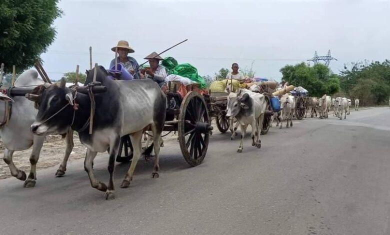 စစ်ကိုင်းတိုင်းတစ်နေရာက စစ်ဘေးရှောင်များ (ပုံဟောင်း)